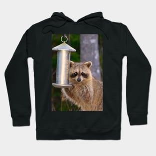 Raccoon Thief Kawaii. Hoodie